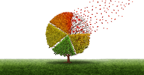 Seasonal business? Optimize your operating cycle